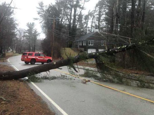 <i>Duxbury Fire/WCVB</i><br/>Numerous trees were blown down by the high winds that hit Massachusetts on Friday morning.