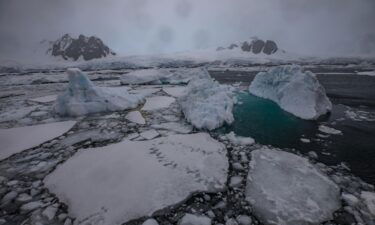Icebergs and sea ice in Lemaire Channel in Antarctica in early February.