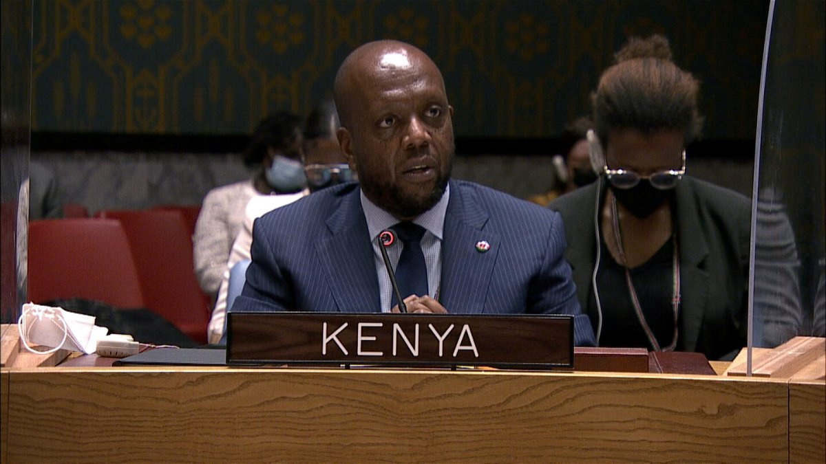 <i>UNTV</i><br/>Kimani drew the comparisons in an address to the U.N. Security Council.
