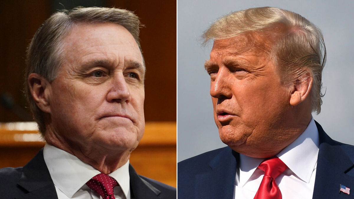 <i>Getty Images</i><br/>Former President Donald Trump is working to clear the gubernatorial field for former Sen. David Perdue's in Georgia.