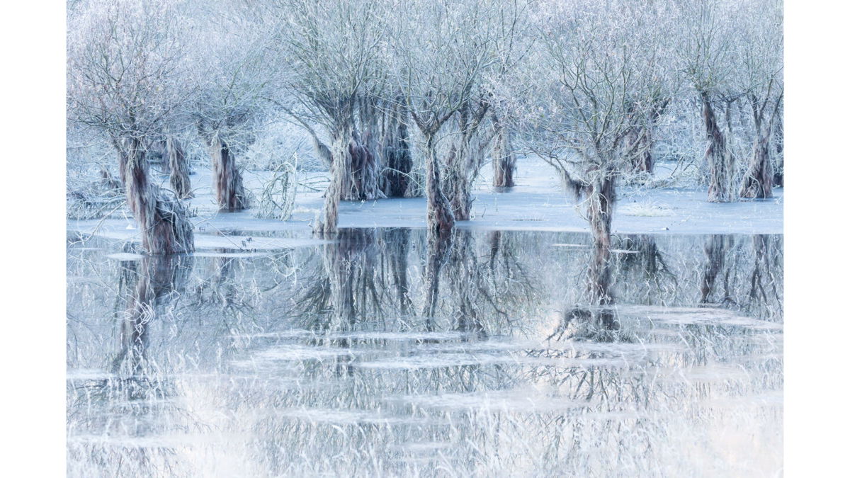 <i>Cristiano Vendramin/Wildlife Photographer of the Year</i><br/>Cristiano Vendramin's photo of a frozen lake in Italy won the People's Choice Award for wildlife photograph of the year