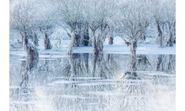 Cristiano Vendramin's photo of a frozen lake in Italy won the People's Choice Award for wildlife photograph of the year