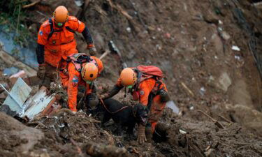 Rescuers use a sniffer dog to search for survivors.
