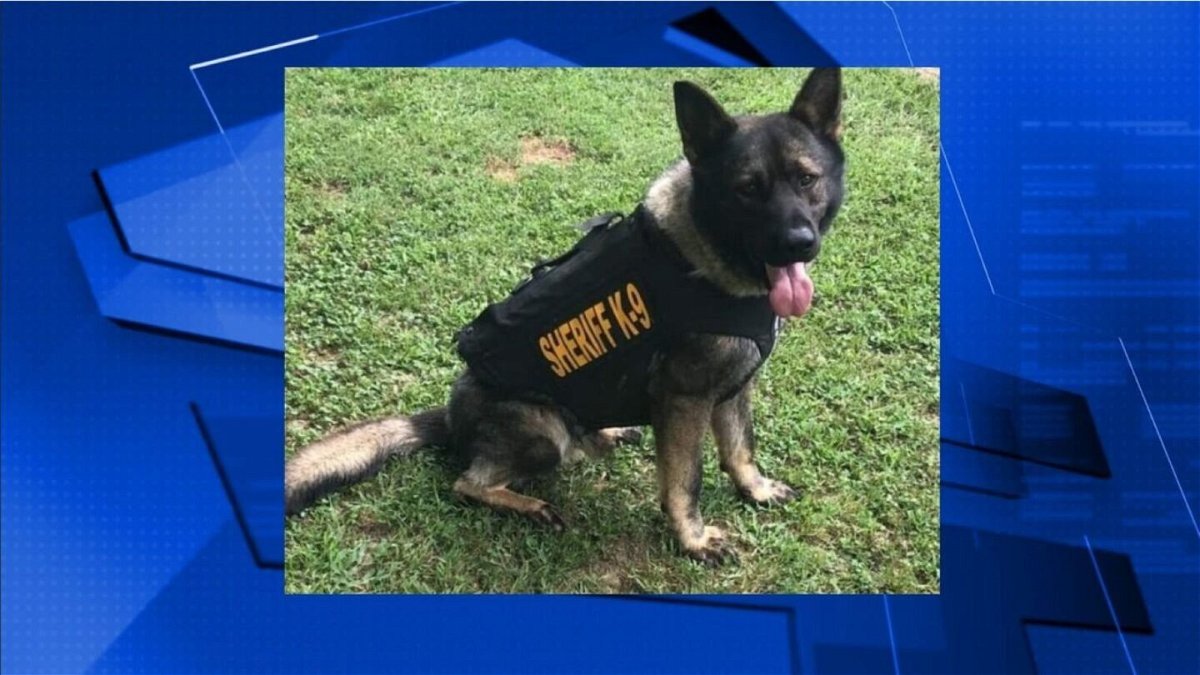 <i>Waverly County/WSMV</i><br/>A Humphreys County K-9 officer died in the car of an officer after a fire started in the vehicle.