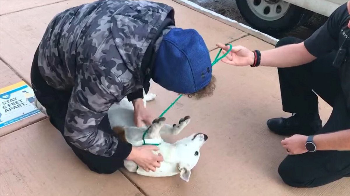 <i>Lakewood Police/KCNC</i><br/>A dog was reunited with his owner Monday morning.