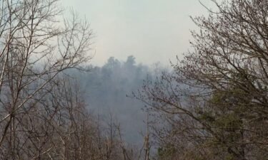A spokesperson with the North Carolina Forest Service said Sunday