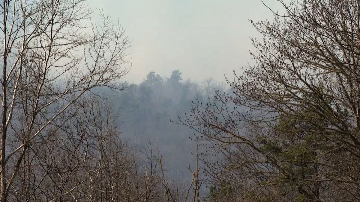 <i>WLOS</i><br/>A spokesperson with the North Carolina Forest Service said Sunday