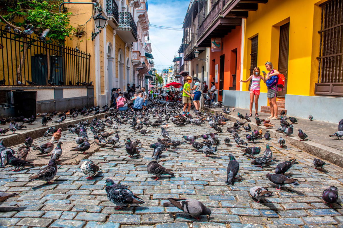 <i>Edwin Remsberg/VWPics/AP</i><br/>Pigeons crowd the streets of Old San Juan as onlookers observe on April 6