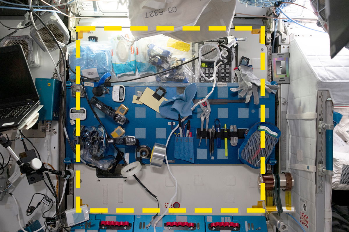 <i>International Space Station Arch/NASA</i><br/>The dotted yellow line outlines a sample location for the Sampling Quadrangle Assemblages Research Experiment