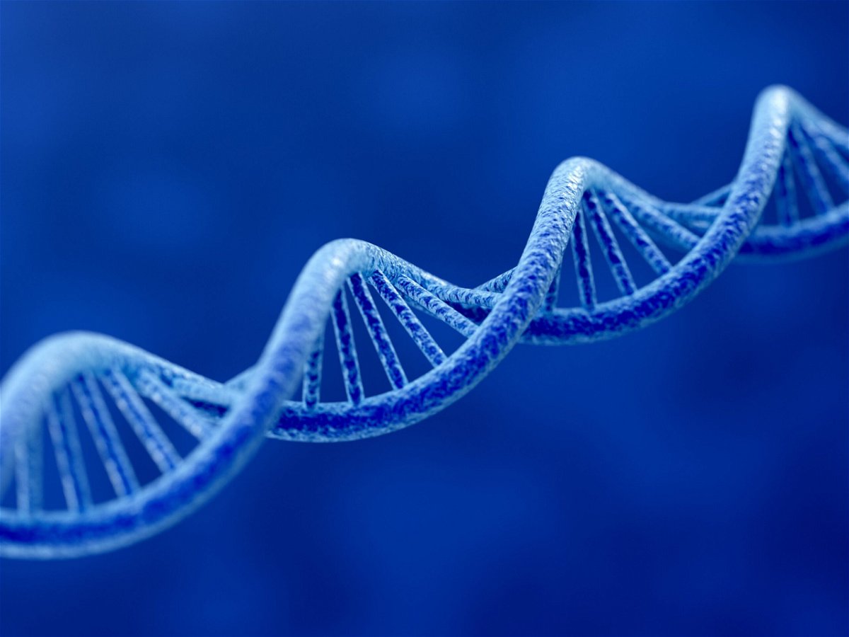 <i>Shutterstock</i><br/>A team of nearly 100 scientists from the Telomere-to-Telomere (T2T) Consortium has unveiled the complete human genome -- the first time it's been sequenced in its entirety