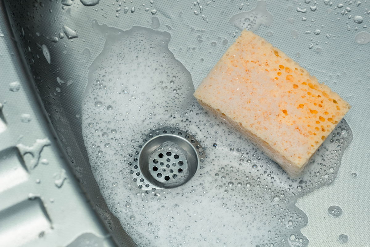 <i>Adobe Stock</i><br/>The results of a new study may help you better understand why your kitchen sponge is habitat central for germs.