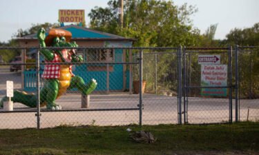 A tiger attacked an employee of Wooten's Everglades Airboat Tours in Ochopee