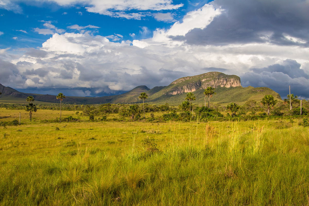 <i>barkstudio/Adobe Stock</i><br/>Jardim de Maytrea is a magical spot within Chapada dos Veadeiros National Park in central Brazil.