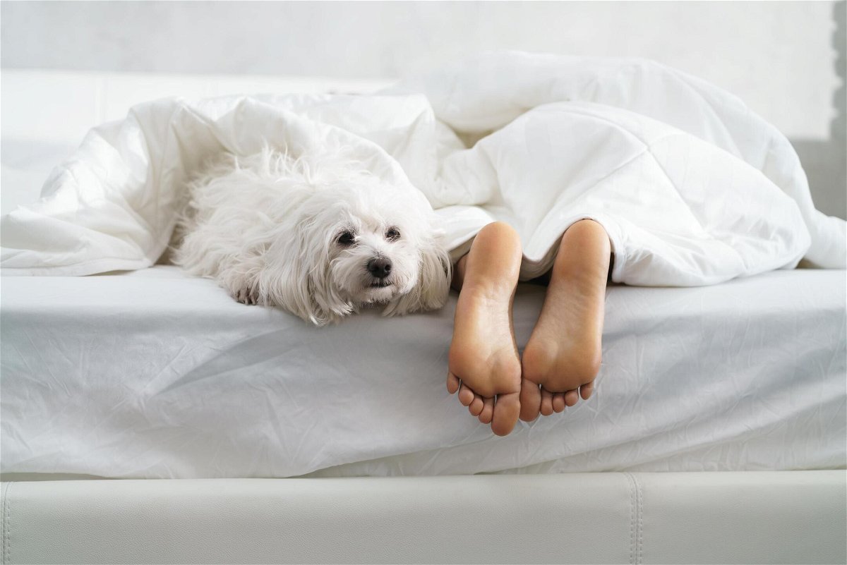 <i>Alamy</i><br/>Studies show that most people practice bad sleep habits without knowing it.