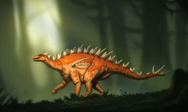 This illustration shows Bashanosaurus primitivus
