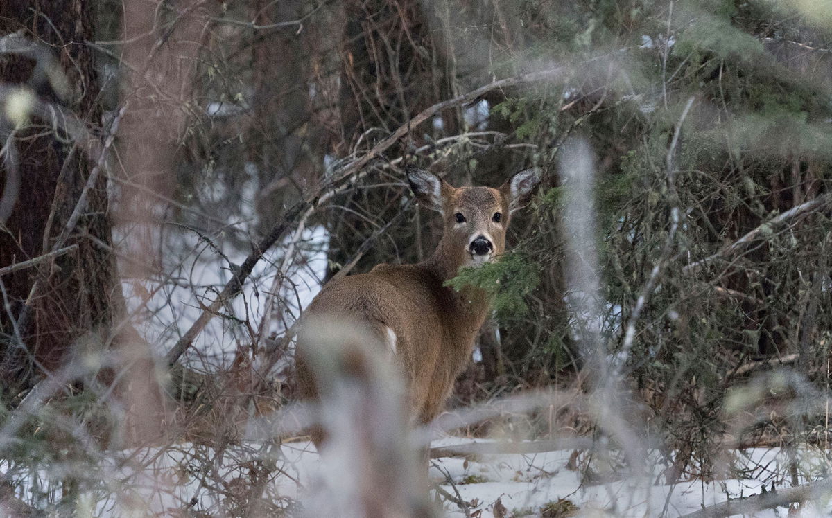 <i>Don Emmert/AFP/Getty Images</i><br/>In many ways