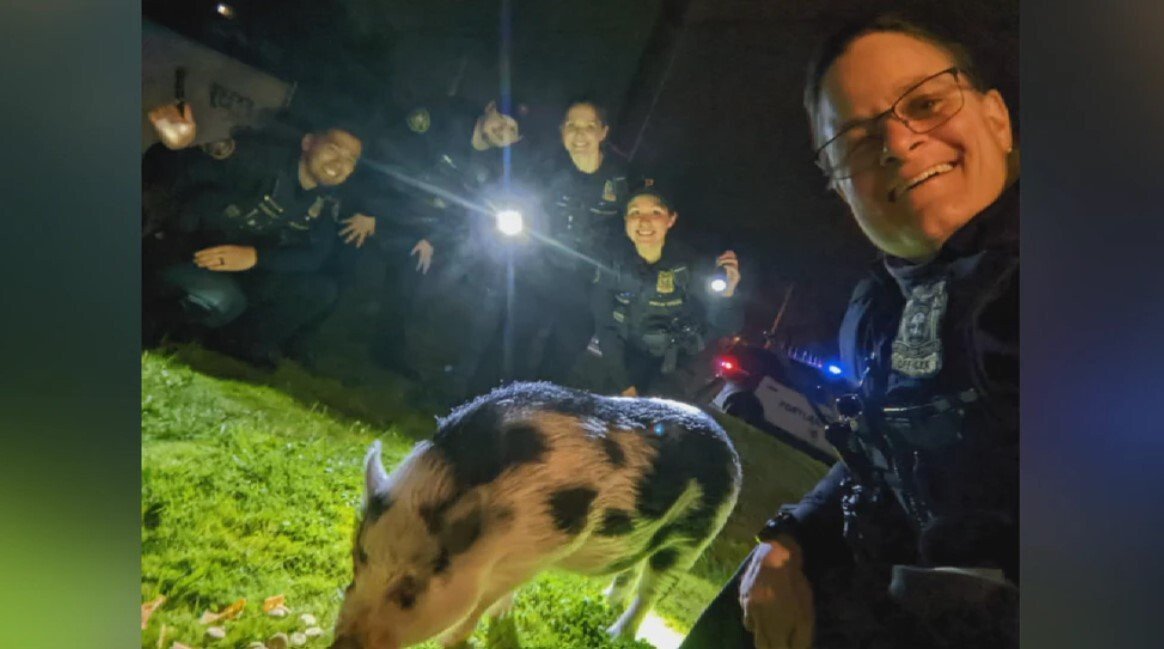 <i>Portland Police Bureau/KPTV</i><br/>Pig