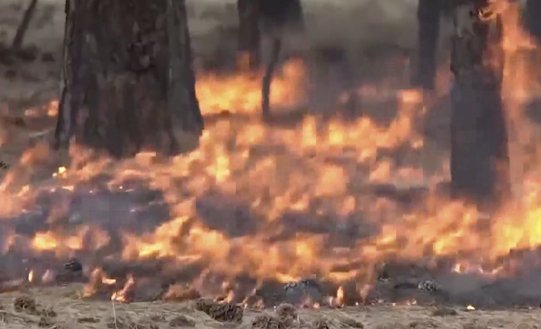 Central Oregon Wildfire School returns with 2 days of live fire exercises to improve response
