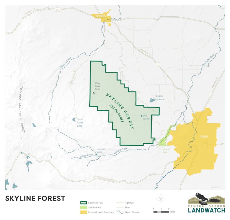 The Skyline Forest is so big, efforts to 'save' it from development would need to be major, as well.