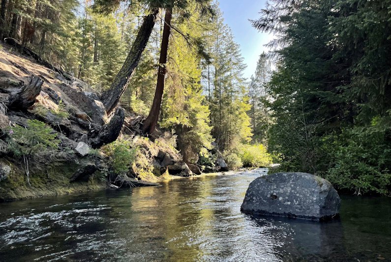 Tumalo Creek is included in the proposed Wild and Scenic designations