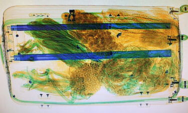 A bat's skeleton can be seen in the bottom left in this x-ray image of the traveler's baggage.