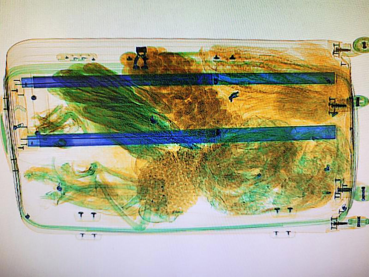 <i>U.S. Customs and Border Protection</i><br/>A bat's skeleton can be seen in the bottom left in this x-ray image of the traveler's baggage.