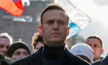 Alexey Navalny is Russia's opposition leader.