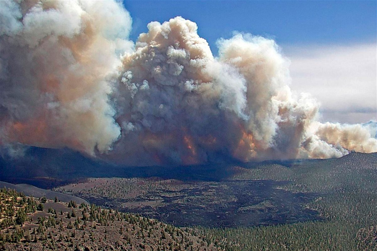 <i>Coconino National Forest/AP</i><br/>The Tunnel Fire