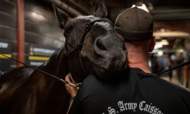 Soldiers prepare the horses and themselves to render final honors for fallen service members at Joint Base Myer-Henderson Hall