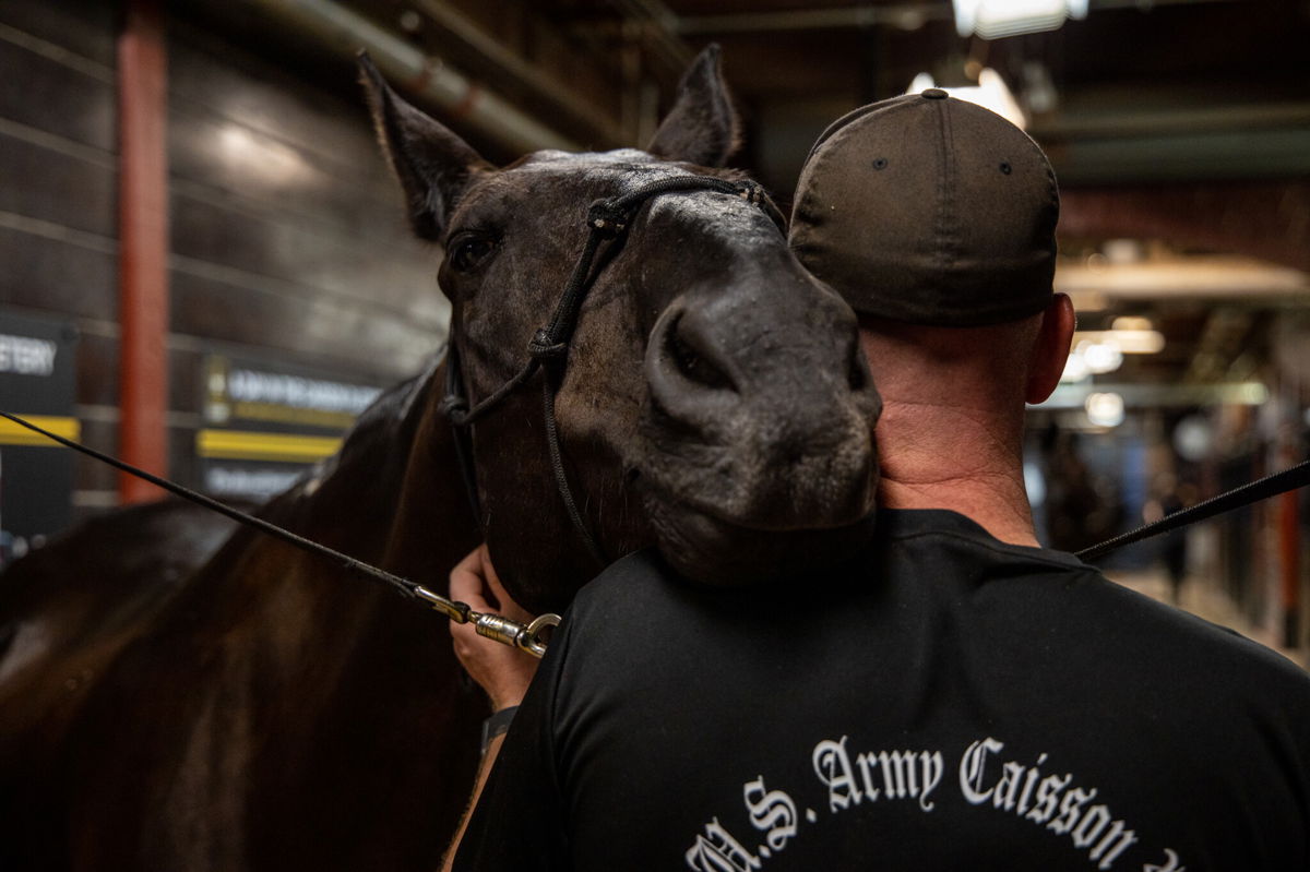 <i>Staff Sgt. Maryam Treece/US Army</i><br/>Soldiers prepare the horses and themselves to render final honors for fallen service members at Joint Base Myer-Henderson Hall