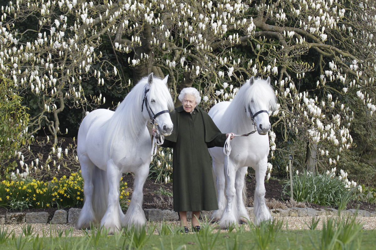 <i>Henry Dallal/The Royal Windsor Horse Show/Getty Images</i><br/>Queen Elizabeth celebrates 96th birthday in milestone jubilee year. Queen Elizabeth is pictured with her fell ponies