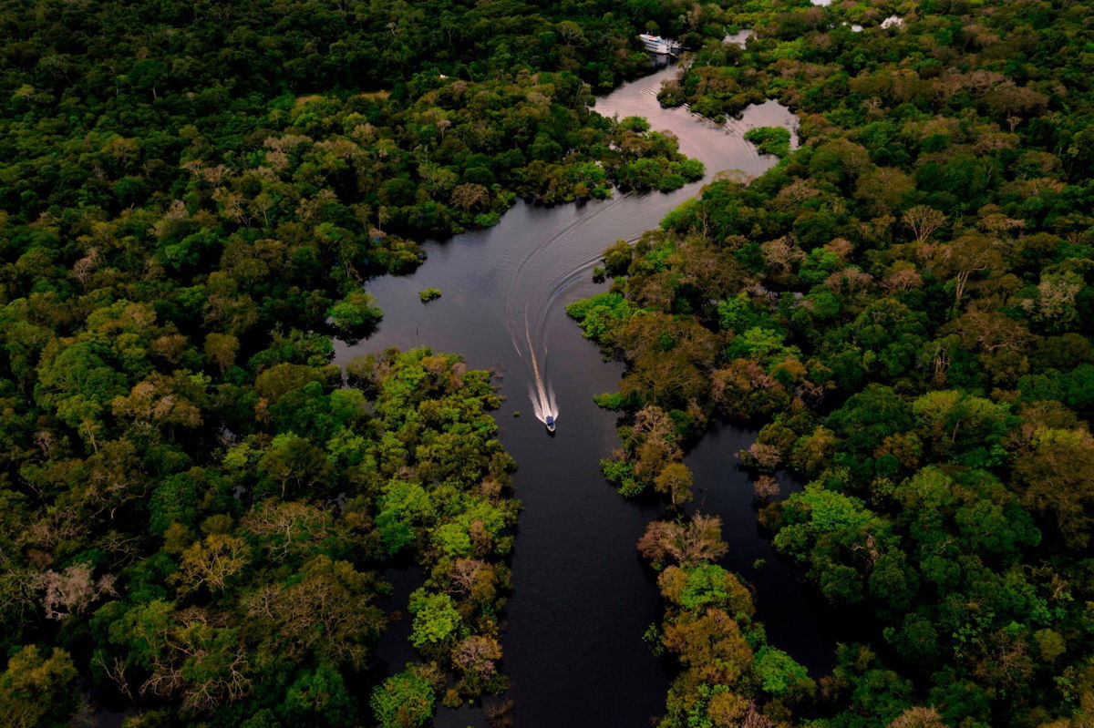 <i>Florence Goisnard/AFP/Getty Images</i><br/>A boat speeding on the Jurura river in the heart of the Brazilian Amazon Forest on March 15