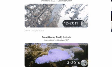 Google marks Earth Day with doodle showing the stark impacts of the climate crisis.