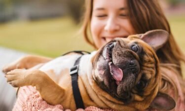 5 cost-saving ways to keep your pets healthy—and happy
