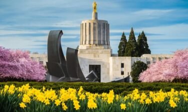 Oregon is the #9 state with the most legislation that protects trans youth