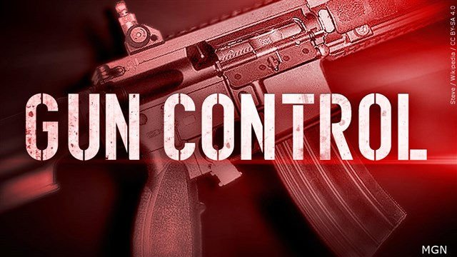 Wyden pushes for ‘common-sense’ gun legislation; Medford gun rights attorney calls for more school security