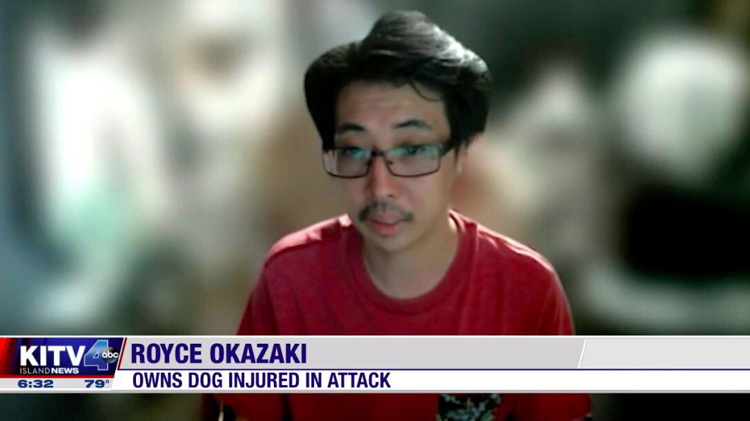 <i>KITV</i><br/>Royce Okazaki's dog is recovering from a confrontation with another dog.