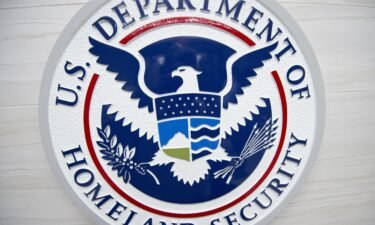 The disinformation expert hired to run the Department of Homeland Security's newly created disinformation board has resigned after the department paused the board.