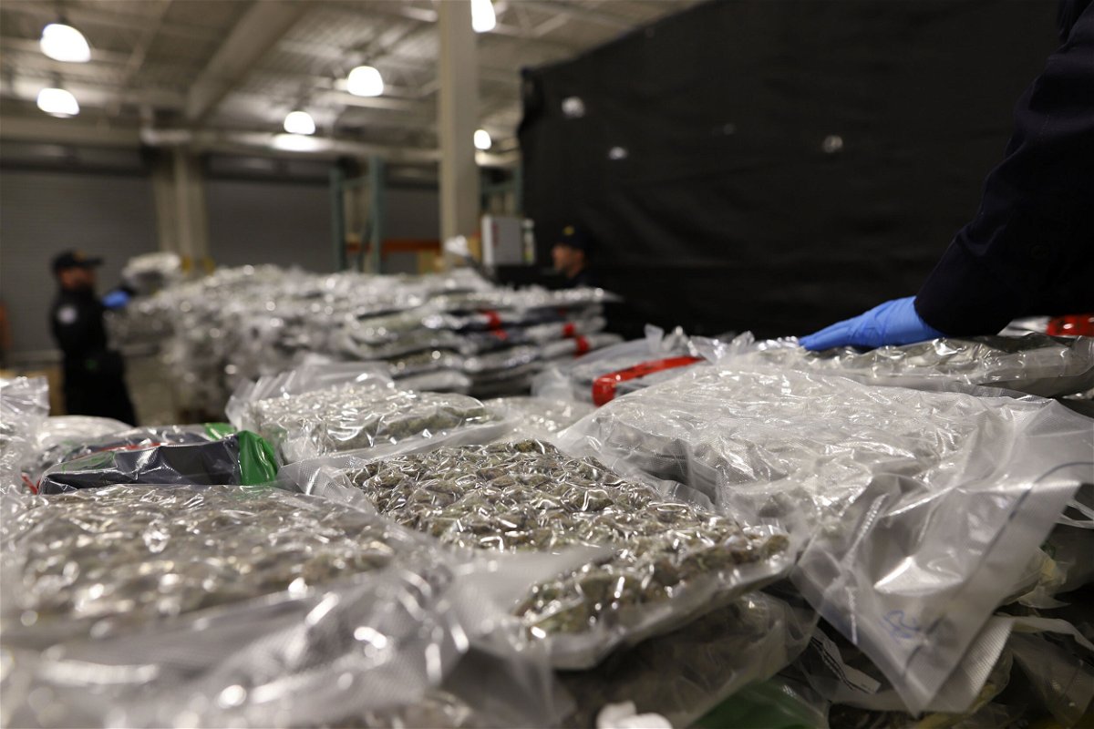 <i>US Customs and Border Protection Great Lakes/Twitter</i><br/>Customs officials intercepted more than a ton of cannabis at the Fort Street Cargo Facility in Detroit