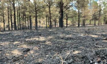 As more acres of the Calf Canyon Hermits Peak fire are drowned out