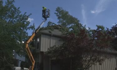 A woman is thankful she made it out of a Lenexa home safely after a large tree crashed through the roof and landed inside a house near Brentwood Drive and Greenway Lane.