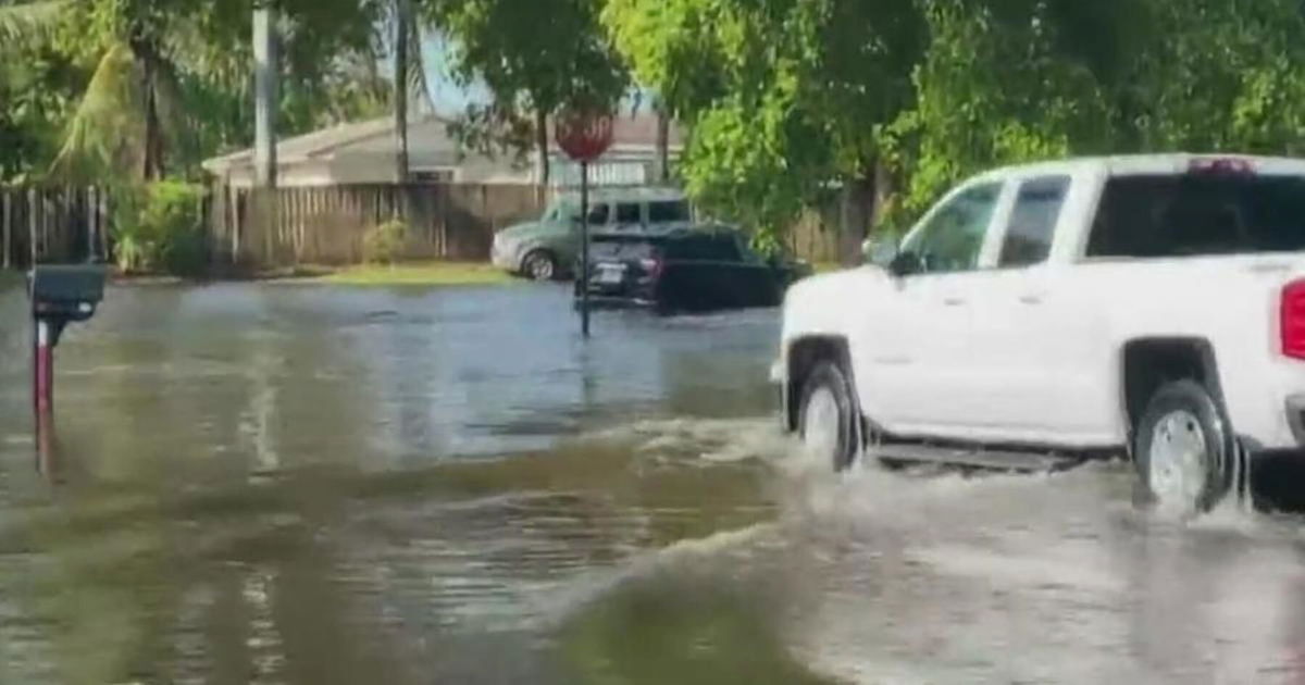 <i>WFOR</i><br/>Flooding in Miami has lead to dozens of complaints.