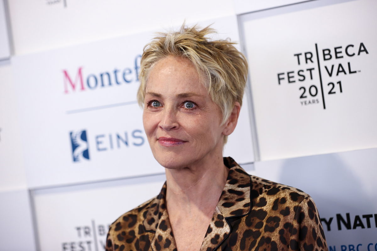 <i>Dimitrios Kambouris/Getty Images</i><br/>Sharon Stone says she has 