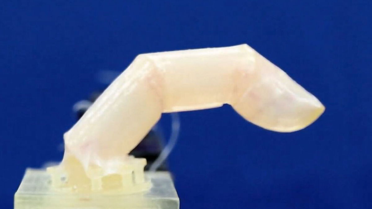<i>Shoji Takeuchi</i><br/>Scientists designed a humanoid robotic finger with living humanlike skin. A robotic finger built with living humanlike skin can bend and repel water.