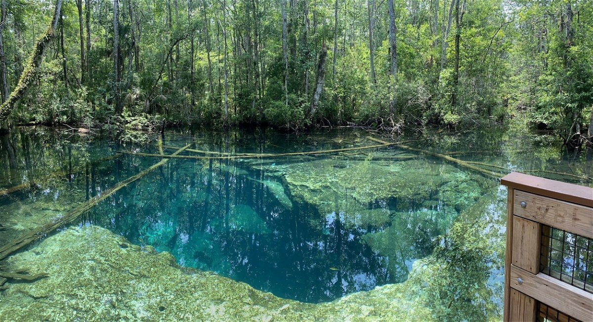 <i>Hernando County Sheriff's Office</i><br/>Authorities in Florida are investigating the deaths of two cave divers at a wildlife park. The Hernando County Sheriff's Office shared this photo of the area near the Buford Springs Cave where the cave divers died.