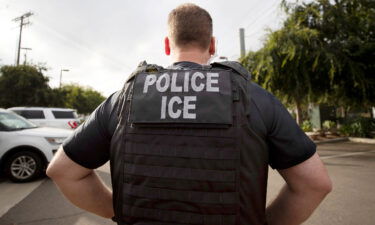 A US Immigration and Customs Enforcement officer looks on during an operation in Escondido