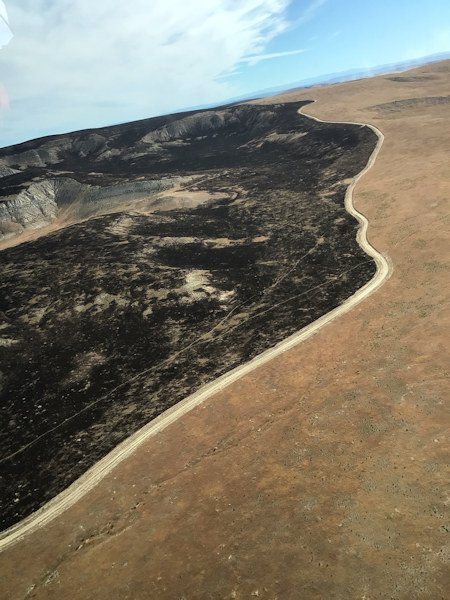 Aerial view showing how fuel breaks halted Willowcreek Fire's growth