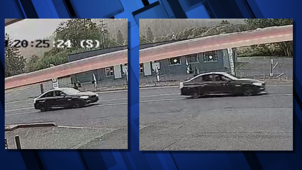 OSP released these 2 photos of suspect vehicle sought in fatal road rage shooting on Hwy. 18 in Polk County