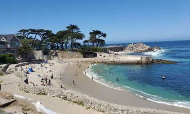 A man was swimming off of Lovers Point Beach in Pacific Grove when he was attacked by a shark around 10:35 a.m.