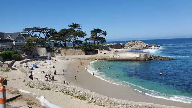 <i>KSBW</i><br/>A man was swimming off of Lovers Point Beach in Pacific Grove when he was attacked by a shark around 10:35 a.m.